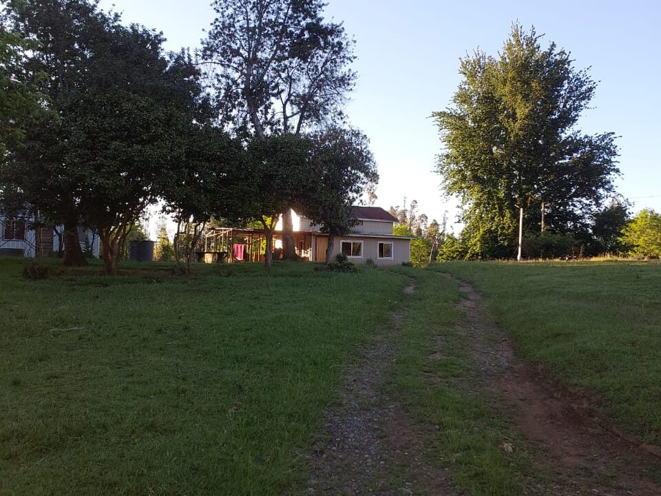 IMG-20231211-WA0317