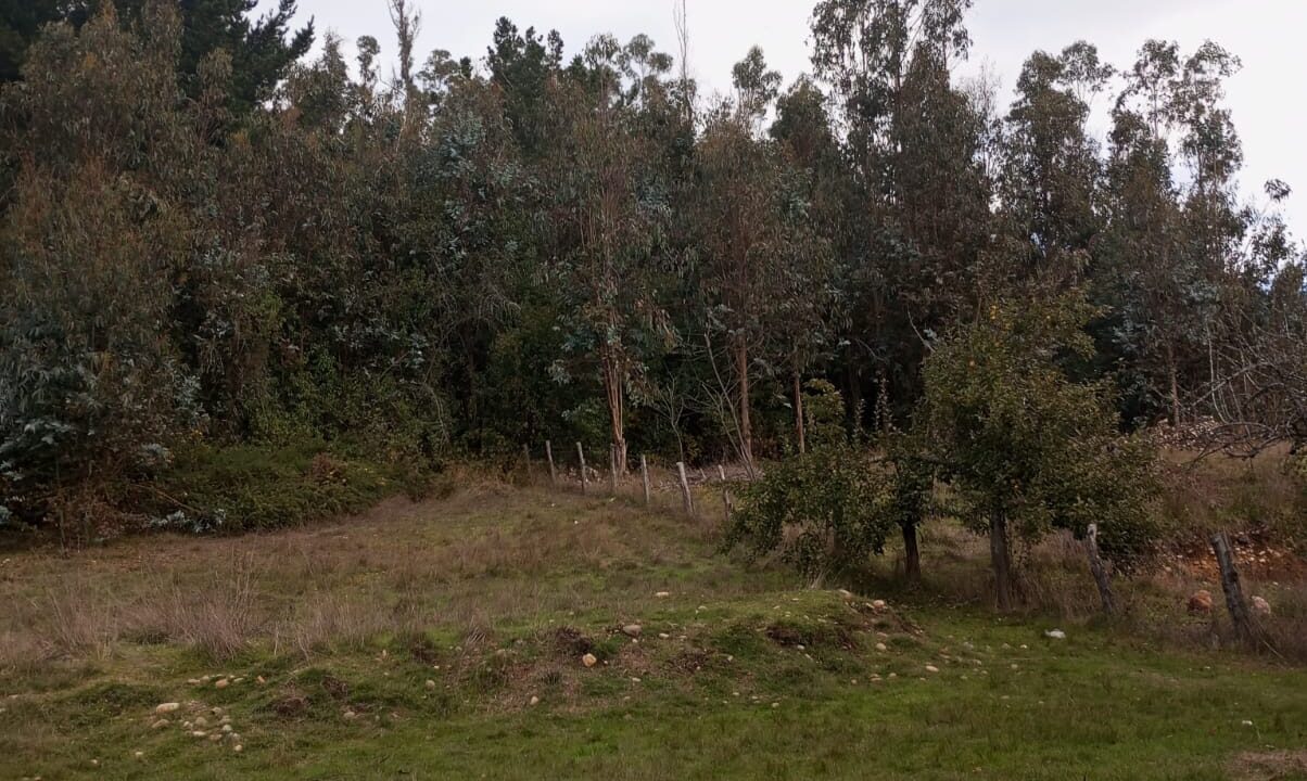 WhatsApp Image 2024-05-27 at 12.21.19 (1)