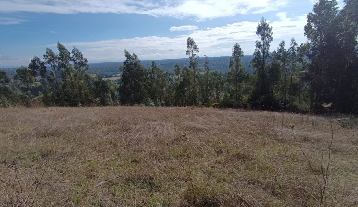 WhatsApp Image 2024-05-27 at 12.22.18 (2)